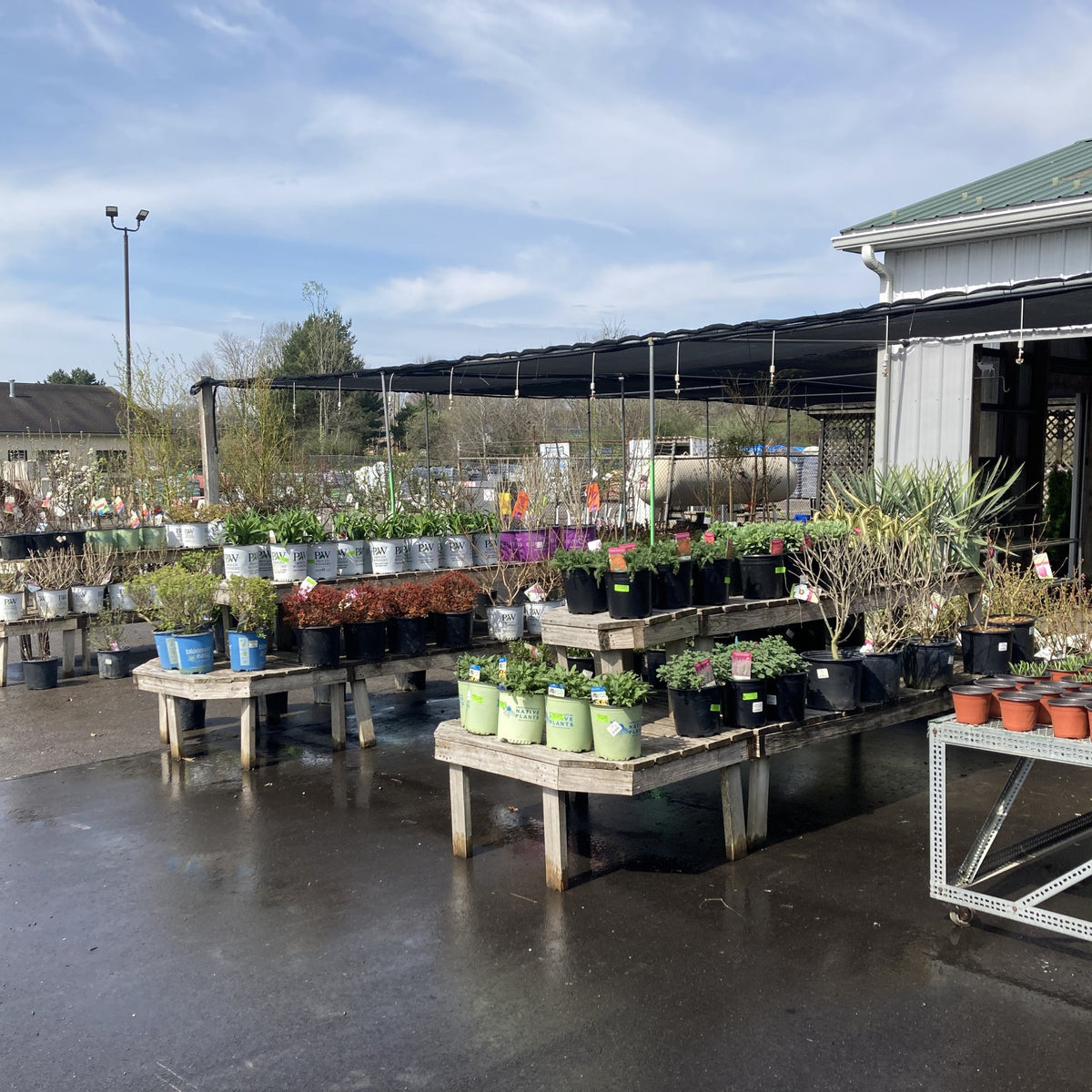 Agway Grove City Pa