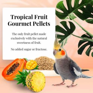 Lafeber Company Cockatiel Tropical Fruit Gourmet Pellets