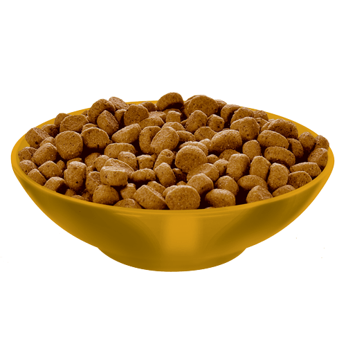 Kibble kitten hot sale food