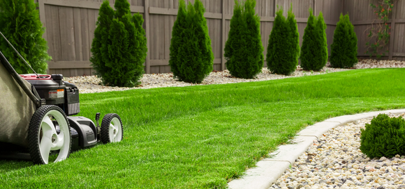 Common Lawn Problems and How to Fix Them