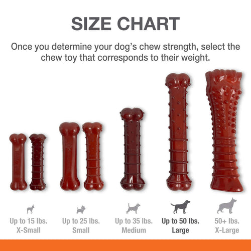 Nylabone Power Chew Basted Blast Dual Flavored Dog Chew Toys (Large/Giant- Up to 50 lbs)