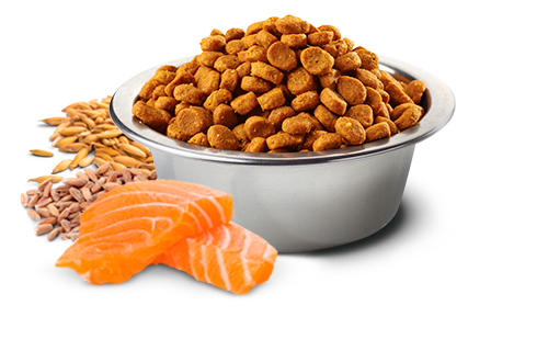 Farmina N&D Tropical Selection Canine Salmon, Spelt, oats and Tropical Fruits Adult Medium & Maxi (22 lb)