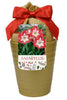 Netherland Bulb Company Amaryllis Kit Minerva