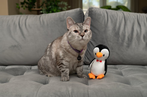 Hero Nala Pippin The Penguin Plush Catnip Cat Toy (6.7L x 5.4W x 4.5H)