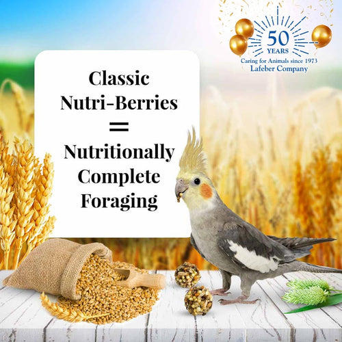 Lafeber Cockatiel Nutri-Berries