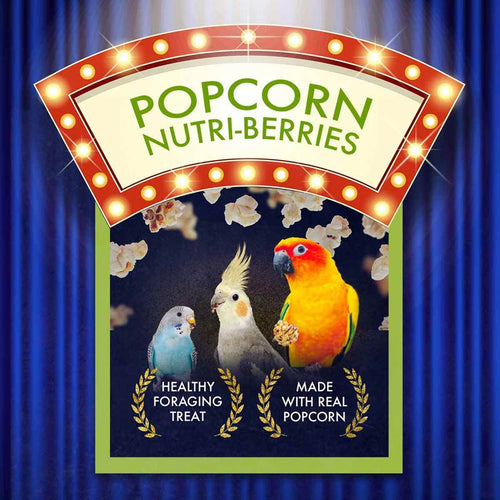 Lafeber Company Cockatiel Popcorn Nutri-Berrie Treats (4 oz)