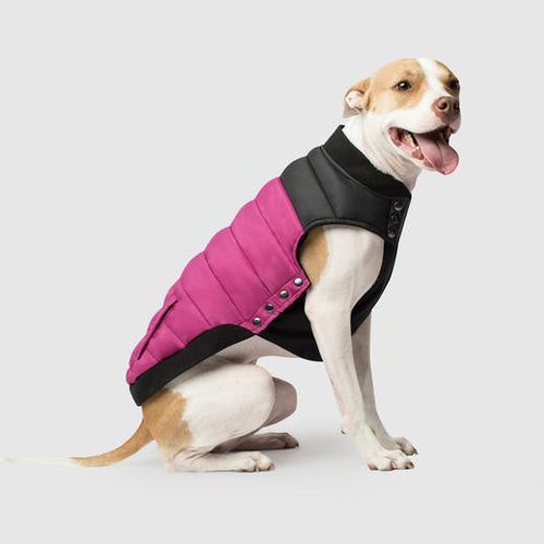 Canada Pooch Summit Stretch Coat Plum *DI*