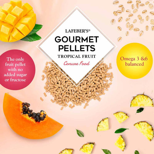 Lafeber Company Conure Tropical Fruit Gourmet Pellets (1.25 lb)