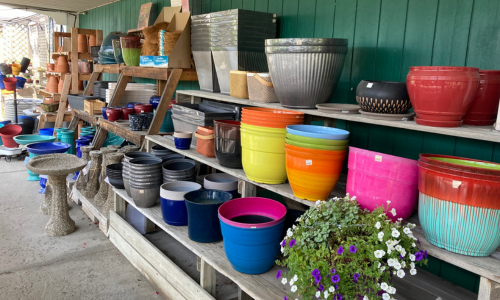 Several plant pots in various colors, along with a flower-filled basket, displayed on shelves outside a store.