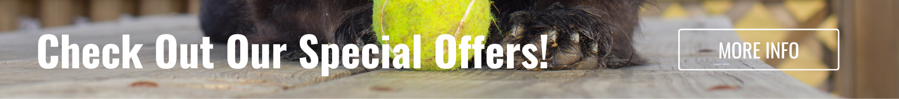 Special Offers banner