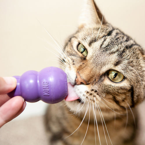 Kong Kitty Kong Treat Dispensing Cat Toy (Small, Purple)