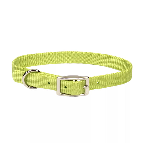 Coastal Pet Products Coastal Single-Ply Dog Collar Lime 3/4