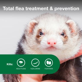 Advantage II Ferret Flea Treatment & Prevention (2 Ct)