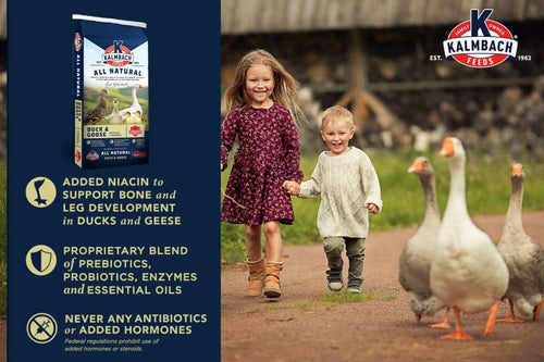 Kalmbach Duck, Goose & Swan Feed