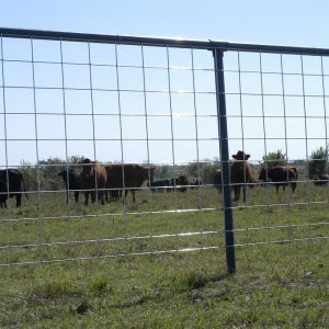 OK Brand Wire Max 50 10-Line Cattle Panel