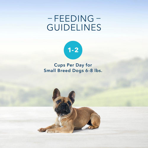 Blue Buffalo Blue Delights Small Breed Angus Beef Pate Dog Food Cup