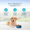 Blue Buffalo Life Protection Natural Fish & Brown Rice Recipe Adult Dry Dog Food