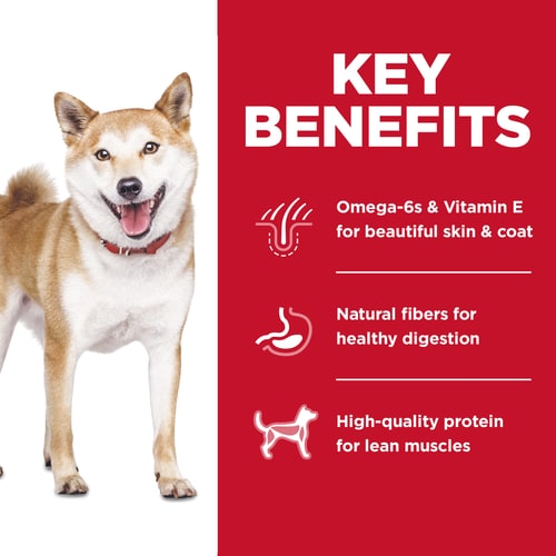 Hill's Science Diet Adult No Corn, Wheat, Soy Dry Dog Food