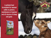 Kalmbach 16% All Stock Pellet Feed