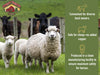 Kalmbach 16% All Stock Pellet Feed