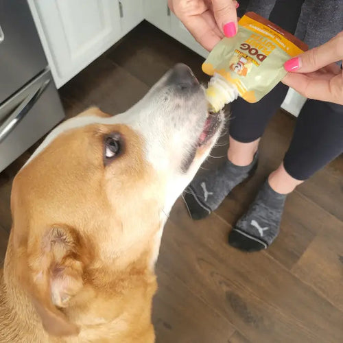 Dilly's Poochie Butter 2.5 Poochies Small Peanut Butter