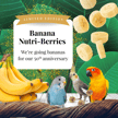 Lafeber Banana Nutri-Berries Cockatiel