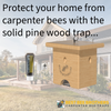 Best Bee Brothers Carpenter Bee Pine Turbo Trap with Bee Vault