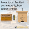 Best Bee Brothers Carpenter Bee Pine Turbo Trap with Bee Vault