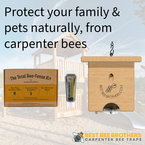 Best Bee Brothers Carpenter Bee Pine Turbo Trap with Bee Vault