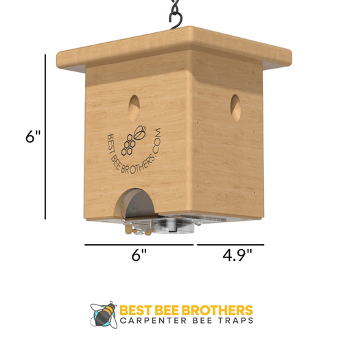 Best Bee Brothers Carpenter Bee Pine Turbo Trap with Bee Vault