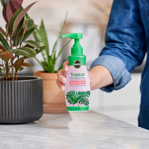 Miracle-Gro® Tropical Houseplant Food