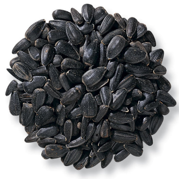 Nature's Window Black Oil Sunflower Wild Bird Seed