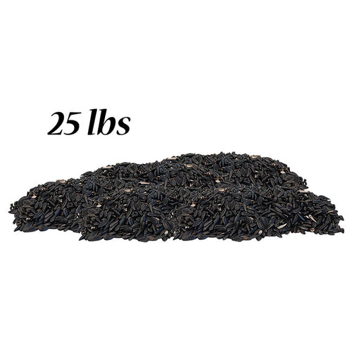 Nature's Window Black Oil Sunflower Wild Bird Seed