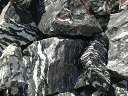 Feller Stone Zebra stone