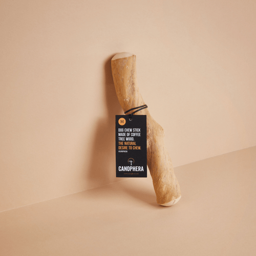 Canophera Coffee Wood Dog Chew Sticks
