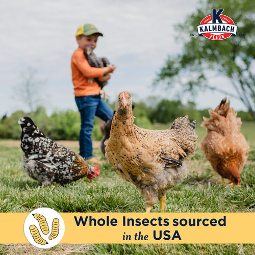Kalmbach Feeds Henhouse Reserve Love Bug™ for Chickens and Poultry