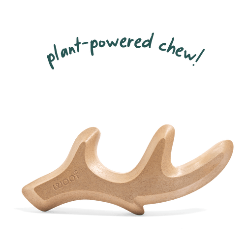 Woof HonestChew Antler Dog Treats