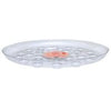CWP Clear Designer Heavy Plant Saucer