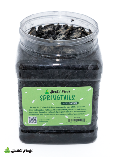 Josh's Frogs Temperate Springtail (Collembola) Culture