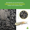 Josh's Frogs Temperate Springtail (Collembola) Culture