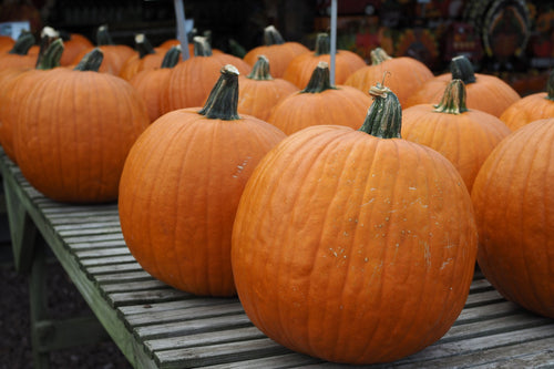 Pumpkins