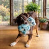 KONG Comfort Wuzzeez Meerkat Dog Toy