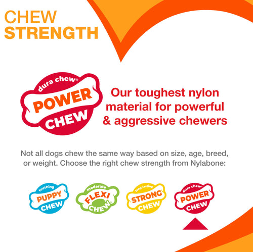 Nylabone Power Chew Textured Bone Dog Chew Toy 70th Birthday Orange Swirl