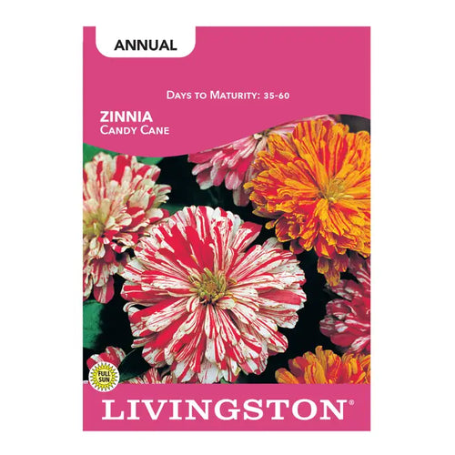 Livingston Seed Zinnia Candy Cane