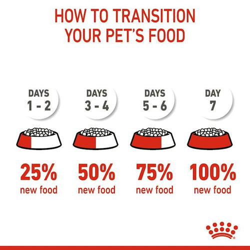 Royal Canin Feline Health Nutrition Kitten Dry Kitten Food