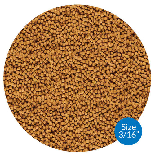 API COOL WATER FOOD