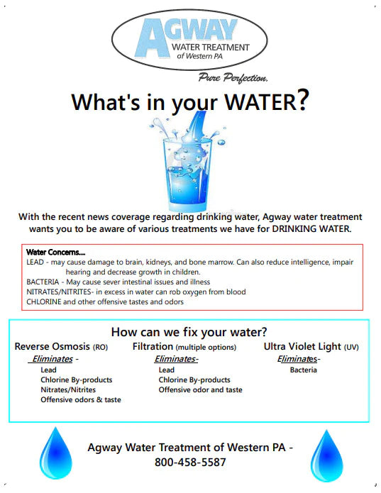 Whats in your water infographic