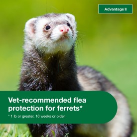 Advantage II Ferret Flea Treatment & Prevention (2 Ct)