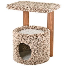 Kitty Condo