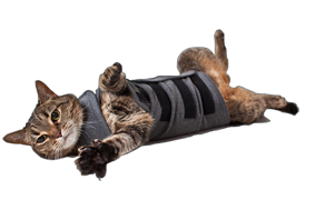 Thundershirt Gray Polo for Cats